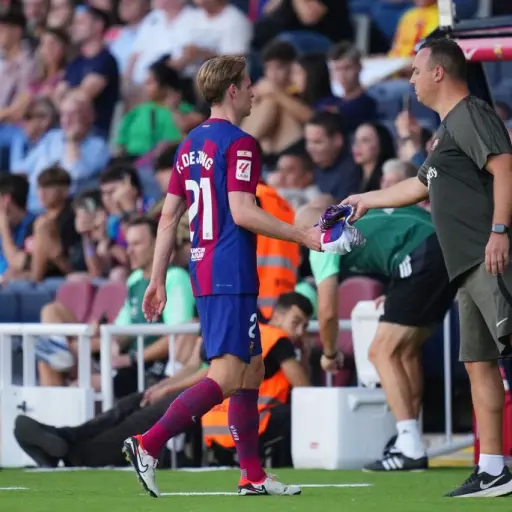 lesion-de-jong-2.jpg ,