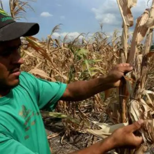 sequiaguatemalaa-ede7c49dd7845937ce7afc679a8d05de.jpg ,