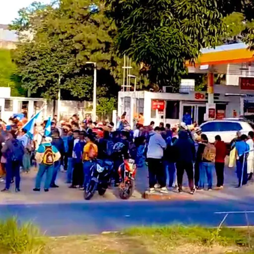 manifestacion-19-octubre-democracia-1.jpeg ,