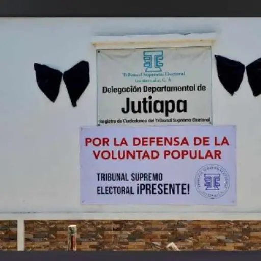 monas-negras-tse.jpg ,