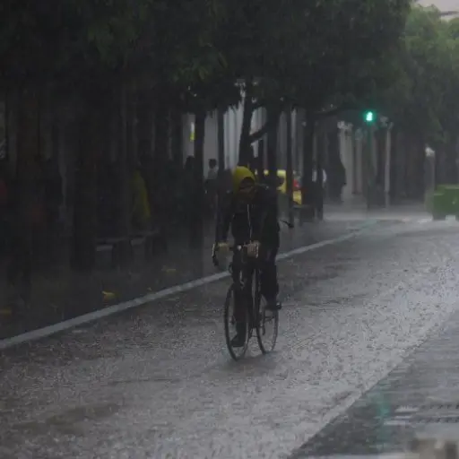 lluvias-octubre-2023.jpg ,