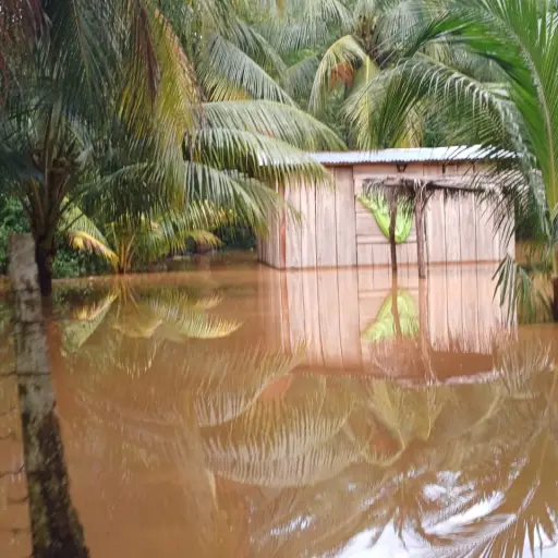 tormenta-tropical-Pilar-31-octubre-2023.jpg ,