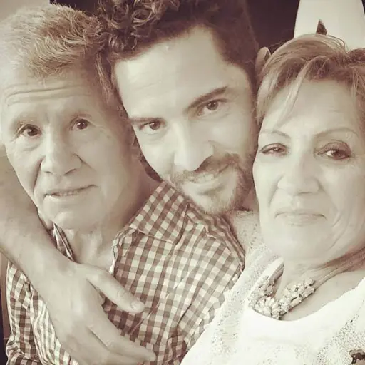 David-Bisbal-1.jpg ,