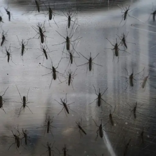 gettyimages-506972060.jpg ,