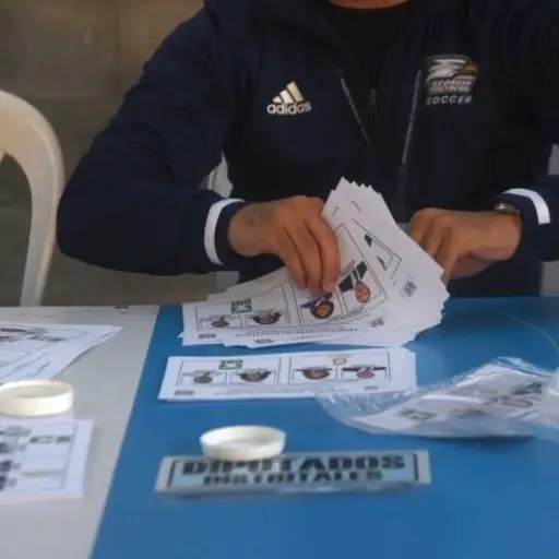 elecciones-presidenciales.jpg ,