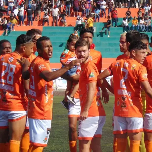 liga-primera-division-cuartos-de-final-apertura-2023-noviembre-2023-1.jpg ,