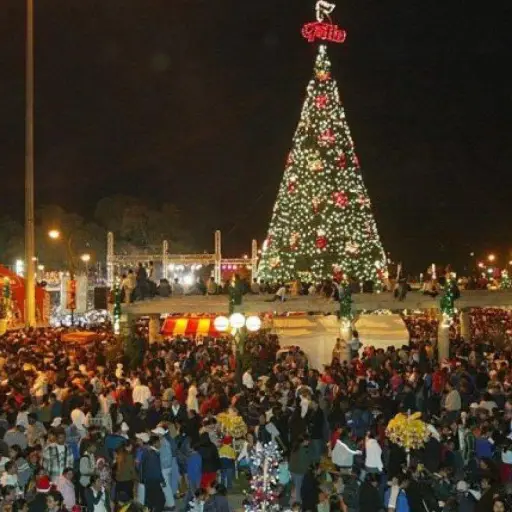 arbolgallo20021600x800-fbadd50098c82d7ab90c93f4601f366b.jpg ,