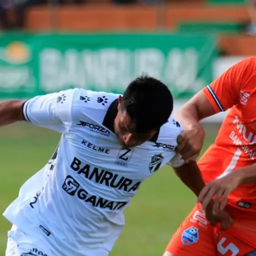 numeros-del-apertura-2023-noviembre-2023-1.jpg ,