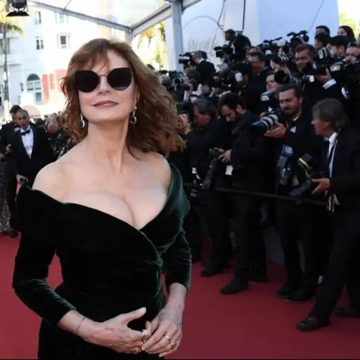 susansarandon4.jpg ,