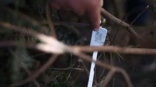 Foto: Edwin Bercián/EU