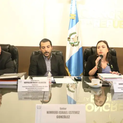 Denunciante-no-acude-a-comision-pesquisidora-noviembre-2023-1.jpeg ,