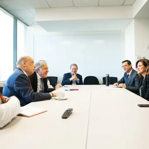 karin-herrera-reunion-oea.jpg ,