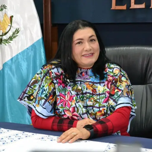 blanca-odilia-alfaro-guerra-magistrada-tse-1.jpg ,