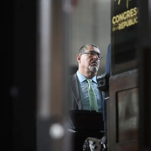 presidente-electo-bernardo-arevalo.jpg ,