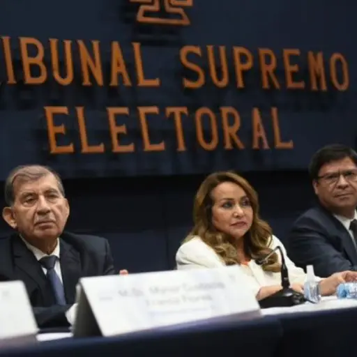 retiran-inmunidad-magistrados-tse-1.jpg ,