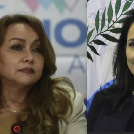 CIDH-Medidas-cautelares-Leylay-Lemus-Irma-Palencia-1.jpg ,