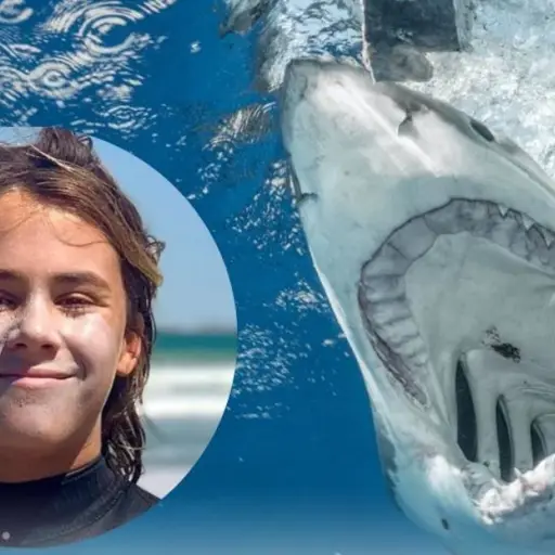 Composición fotográfica: X