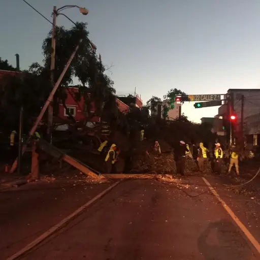 arbol-cae-avenida-bolivar-emisoras-unidas.jpeg ,