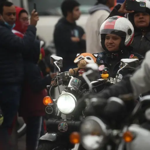 participantes-caravana-del-zorro-febrero-2023.jpg ,