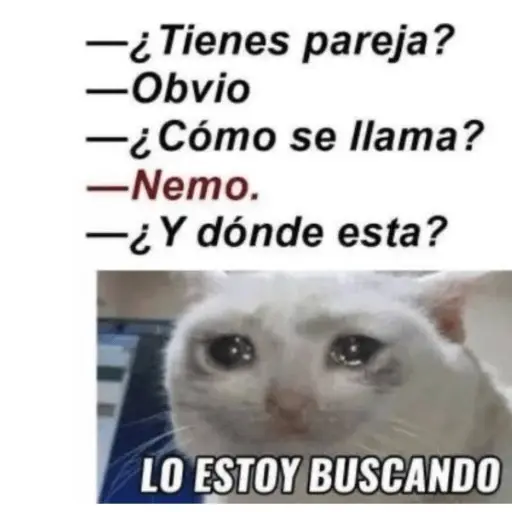 dia-del-carino-emisoras-unidas-febrero-2024.-1-1.png ,