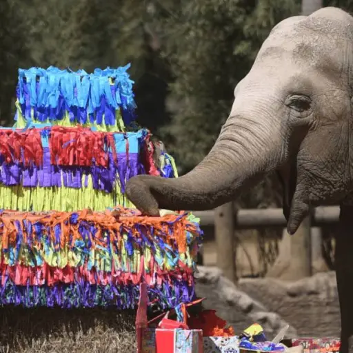 Trompita-cumple-59-anos.png ,