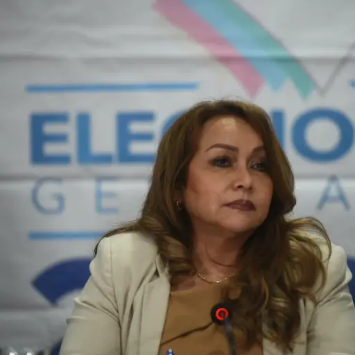 irma-palencia-tse-tribunal-supremo-electoral-emisoras-unidas.jpg ,