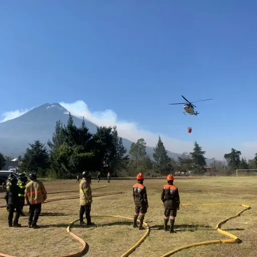 Bienestar-de-los-animales-en-incendio-del-volcan-de-agua.jpeg ,