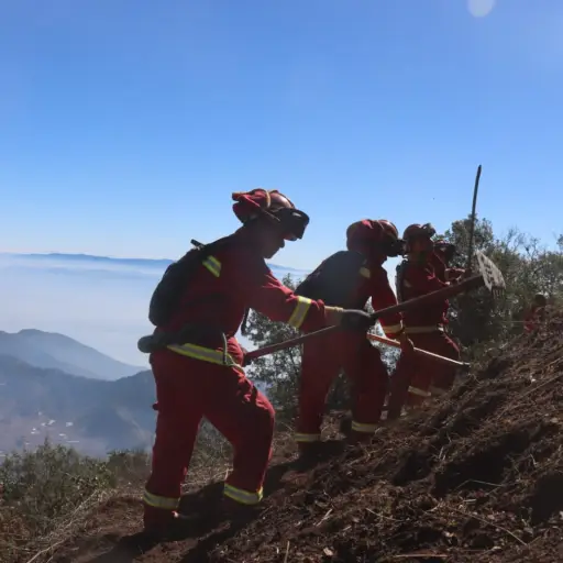 Incendios-forestales-en-Guatemala-2024-version-web-003.jpeg ,