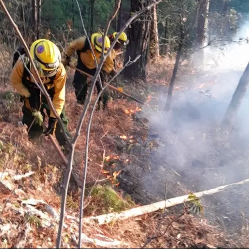 incendios-forestales-conred-emisoras-unidas2.jpg ,
