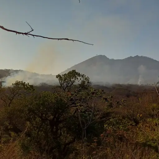 Incendiso-forestales-en-semana-santa.jpeg ,