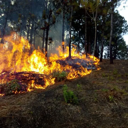 incendios-forestales-conred.jpg ,
