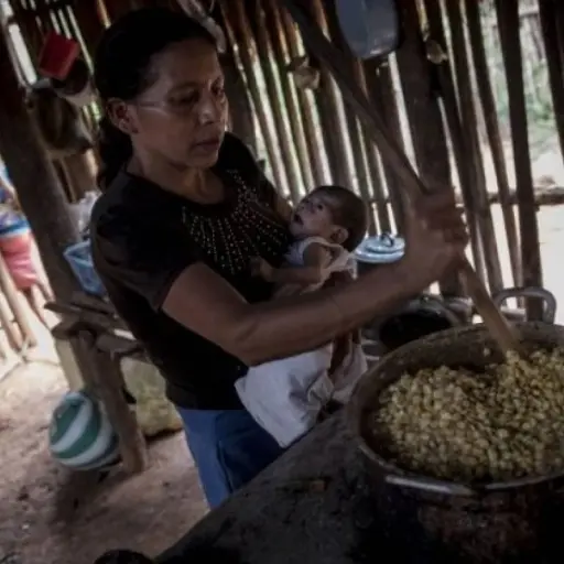 PDH-senala-indiferencia-de-autoridades-por-recorte-presupuestario-para-combate-a-la-desnutricion-cronica.jpg ,