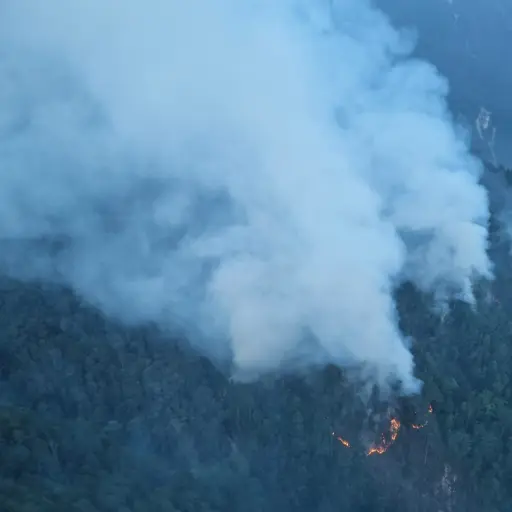 incendio-en-la-Sierra-de-las-Minas.jpeg ,