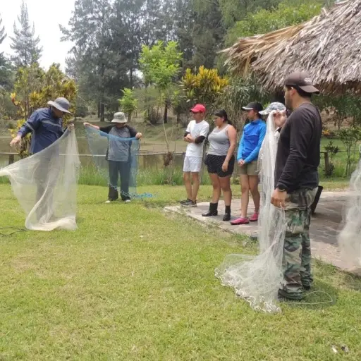 Limpieza-del-lago-por-parte-de-AMSA-version-web.jpg ,