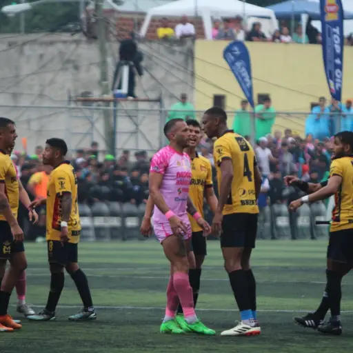 agresion-farina-1.jpg ,