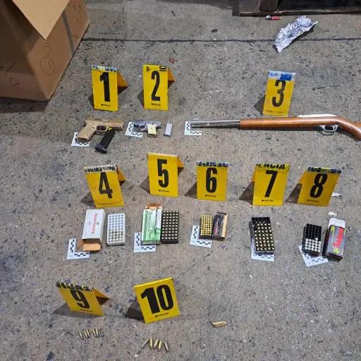 armas-decomisadas-2.jpeg ,