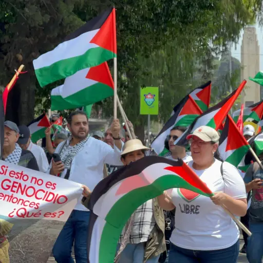 Manifestacion-en-favor-de-Palestina-010-scaled-1.jpg ,