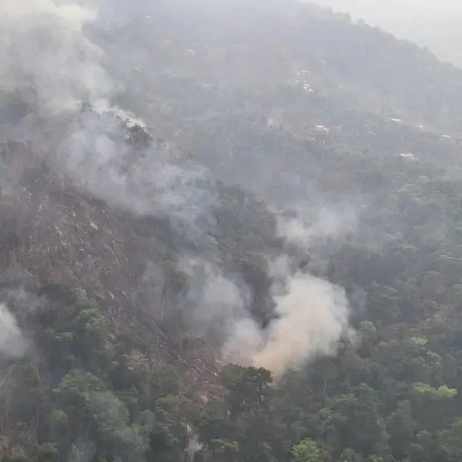 Fiscalia-investiga-incendio.jpeg ,