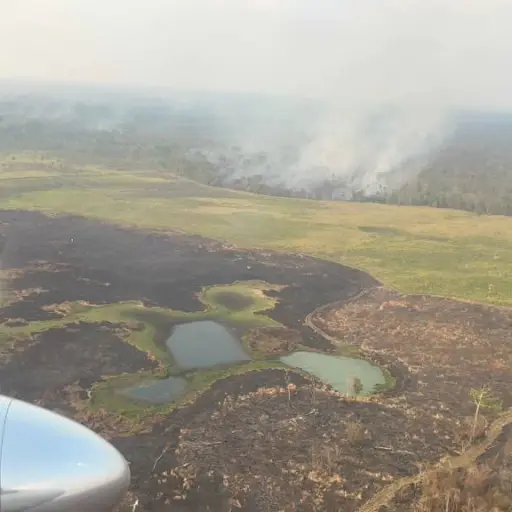 incendio-forestal-laguna-del-tigre-emisoras-unidas2.webp ,