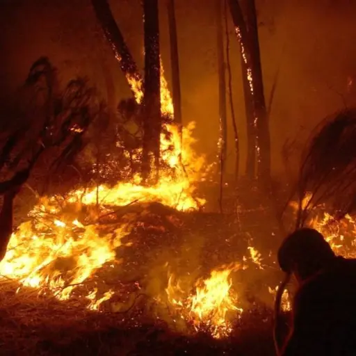 incendios-forestales-guatemala-emisoras-unidas-1.webp ,