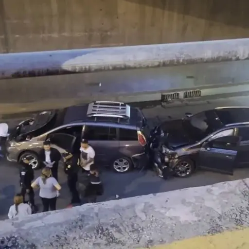 Atropellado-los-proceres.webp ,