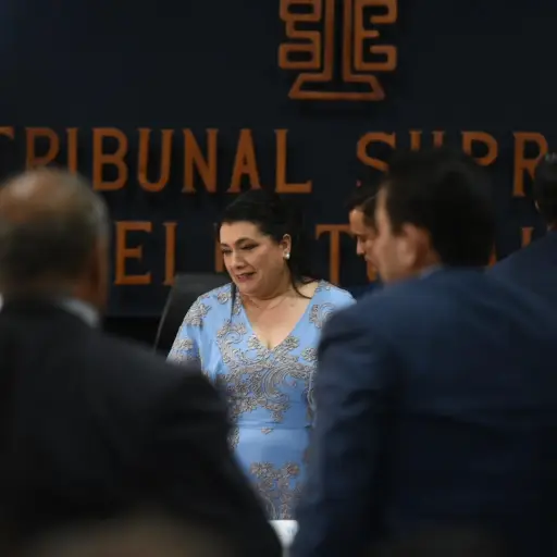 blanca-alfaro-asume-presidencia-tse-5.jpg ,