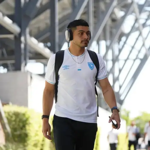 darwin-lom-legionario-costa-rica.webp ,