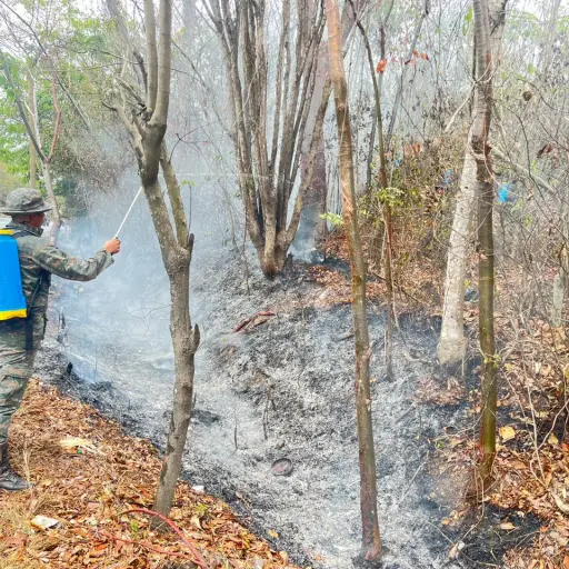 incendio-forestal-emisoras-unidas.jpg ,