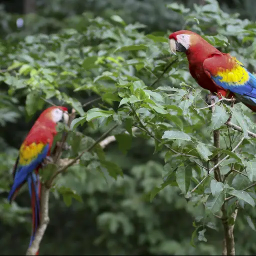 636315027930129476.jpg ,