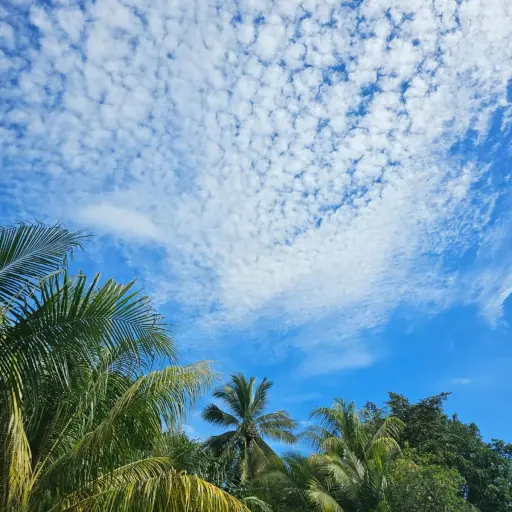 Cielo-en-la-Costa-Sur.jpg ,