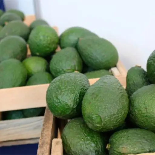 aguacate-emisoras-unidas.webp ,