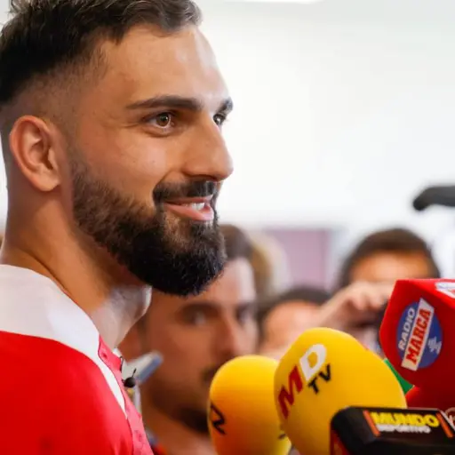 mamardashvili-georgia.webp ,