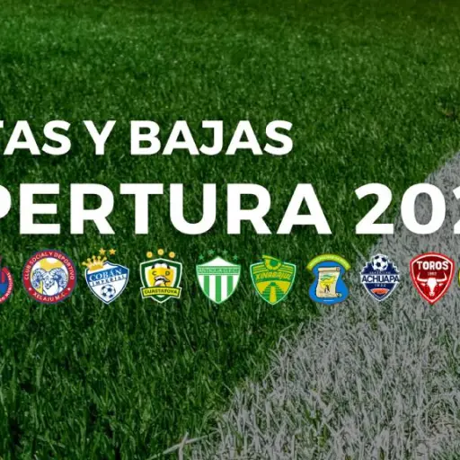 altas-bajas-apertura-2024-1-2.webp ,