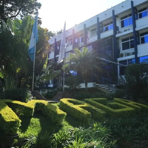 ministerio-agricultura-ganaderia-y-alimentacion-maga-2024.webp ,